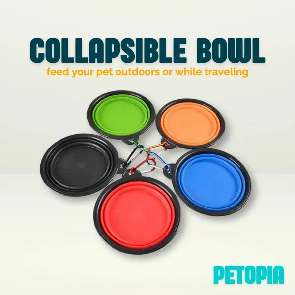 Collapsible Pet Feeding Bowl