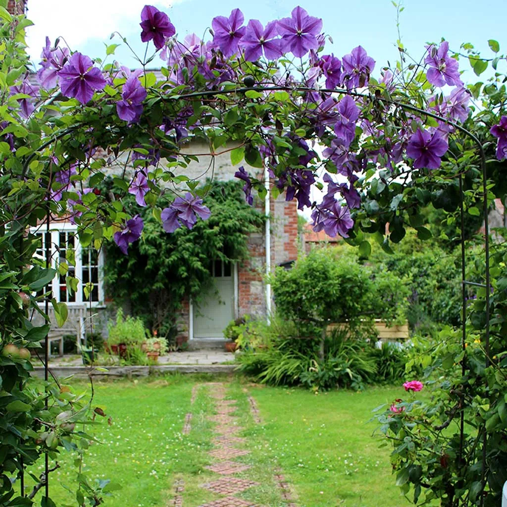 Elegance Fine Arch