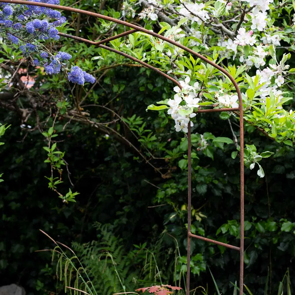 Elegance Fine Arch