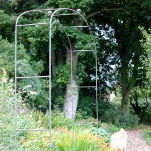 Elegance Fine Arch