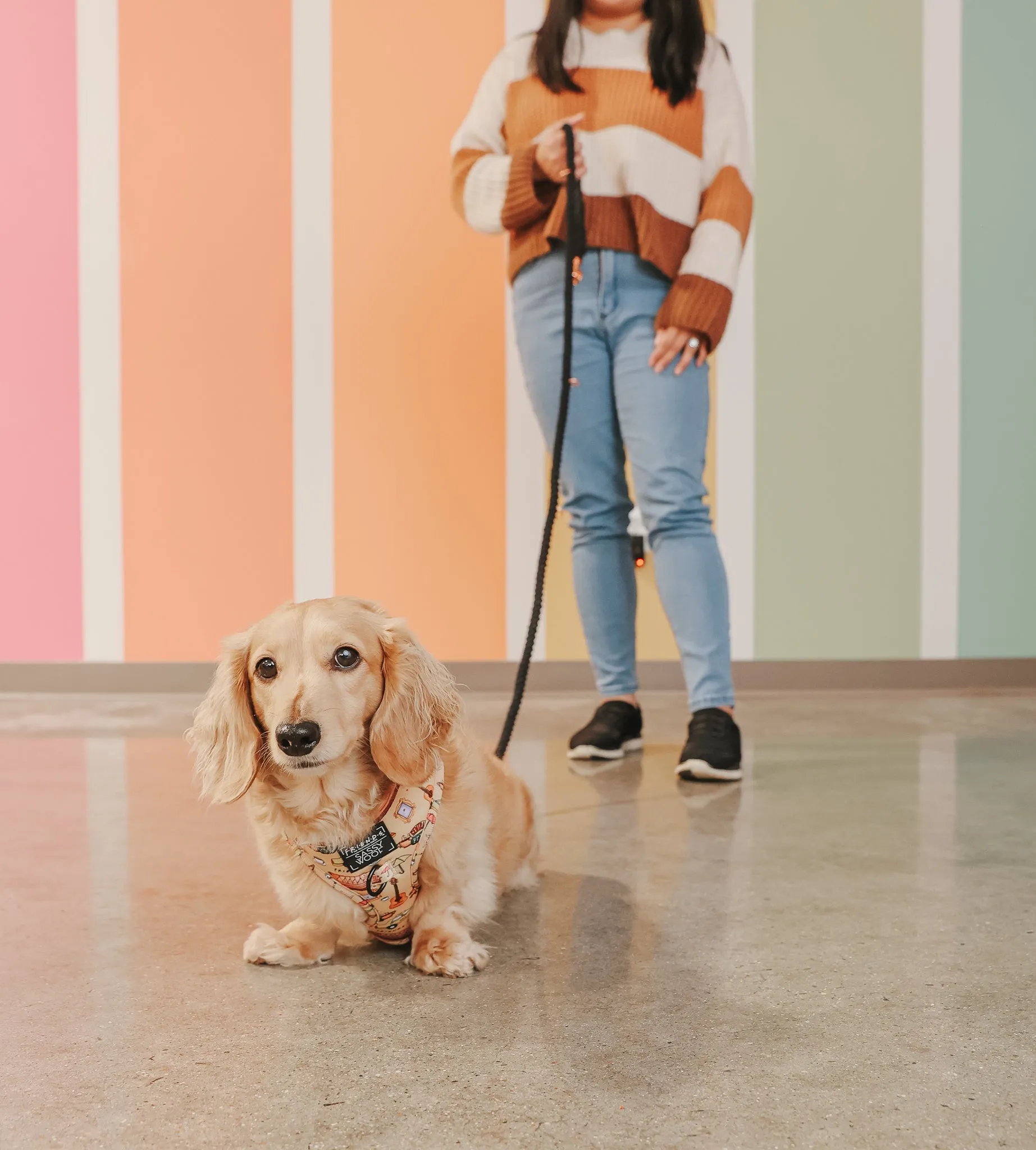Hands Free Rope Leash - Noir