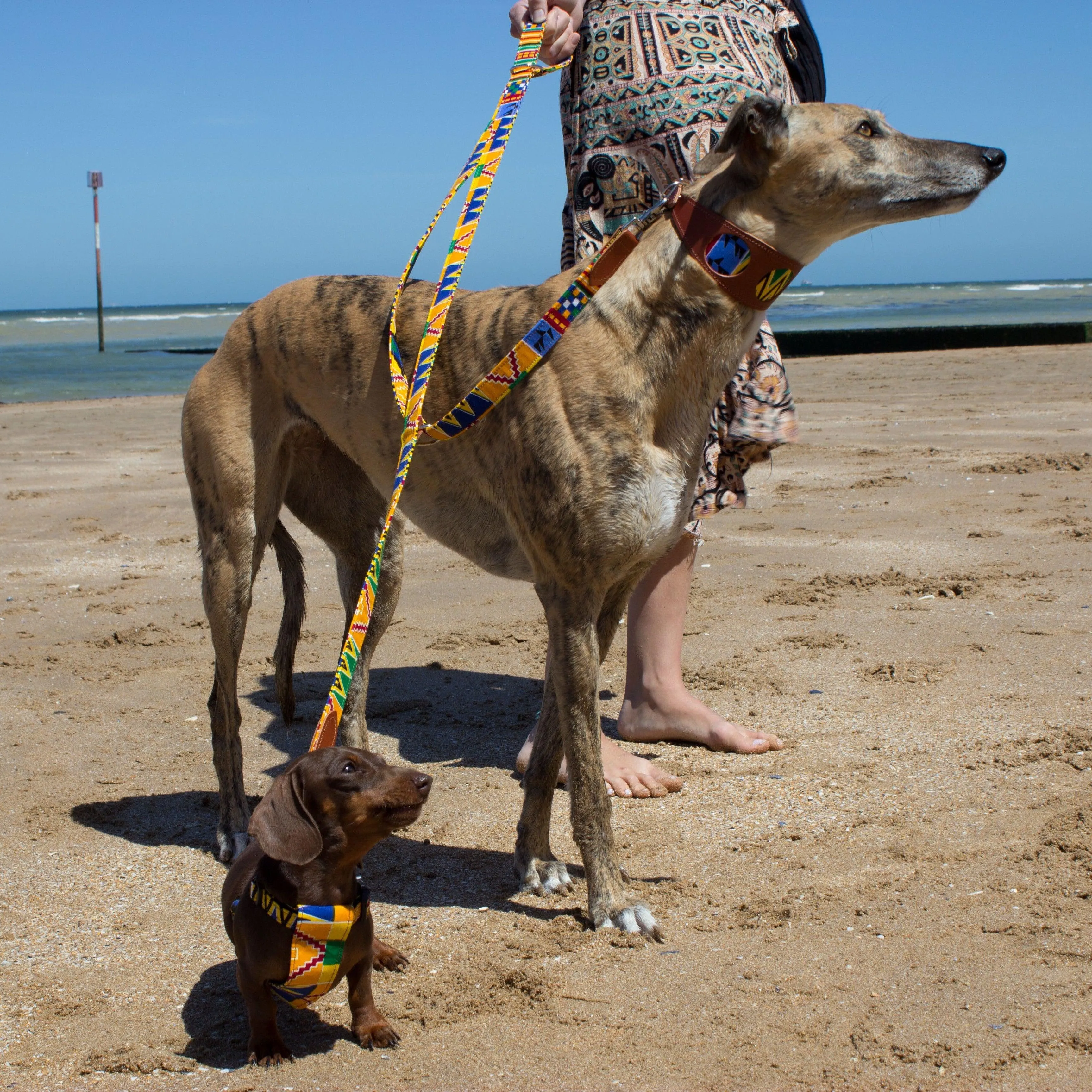 Kente Hands Free (Coupler) Dog Lead