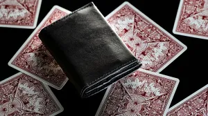 Quiver Compact Index Accessory (Gimmick only)